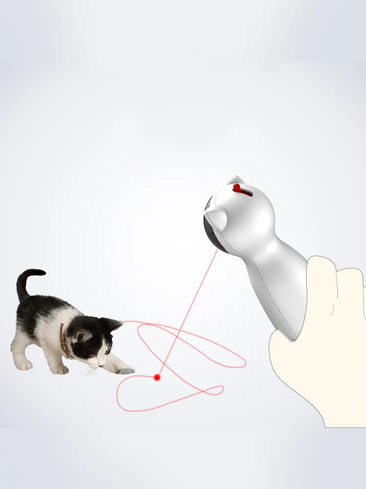 Cat playing with laser pointer
